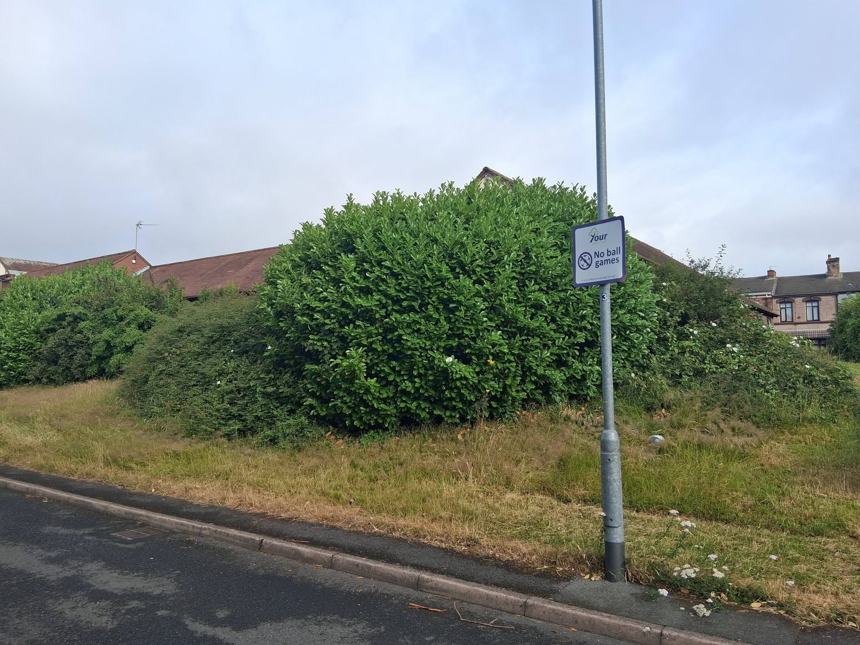 Overgrown corner cut back &mdash; before CRJ Gardening & Grounds