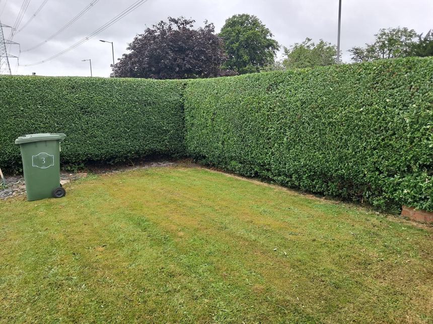 Corner hedge & lawn &mdash; after CRJ Gardening & Grounds