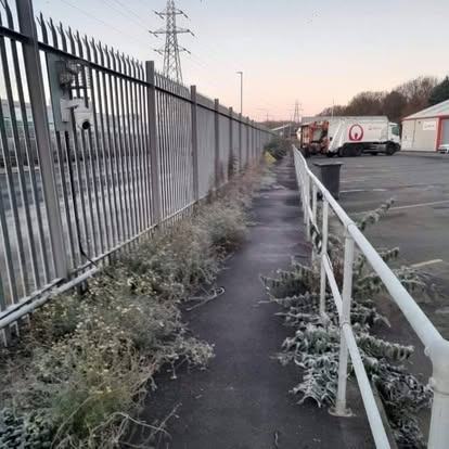 Depot fence line cleared &mdash; before CRJ Gardening & Grounds