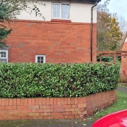 Laurel hedge reshaped — after CRJ Gardening & Grounds