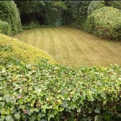 Lawns cut & edged — CRJ Gardening & Grounds