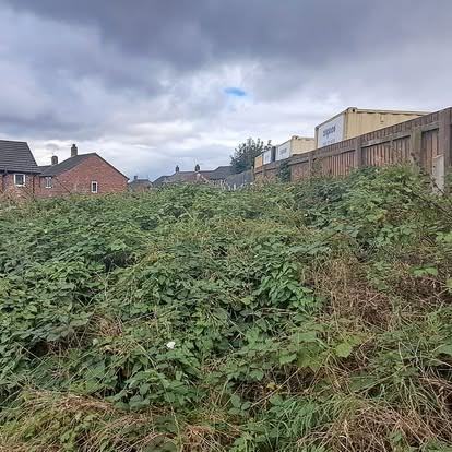 Plot cleared & levelled &mdash; before CRJ Gardening & Grounds