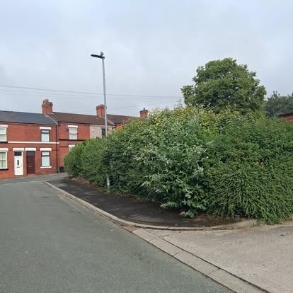 Roadside corner cut back &mdash; before CRJ Gardening & Grounds