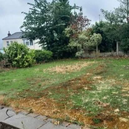 Back garden lawn transformed &mdash; before CRJ Gardening & Grounds